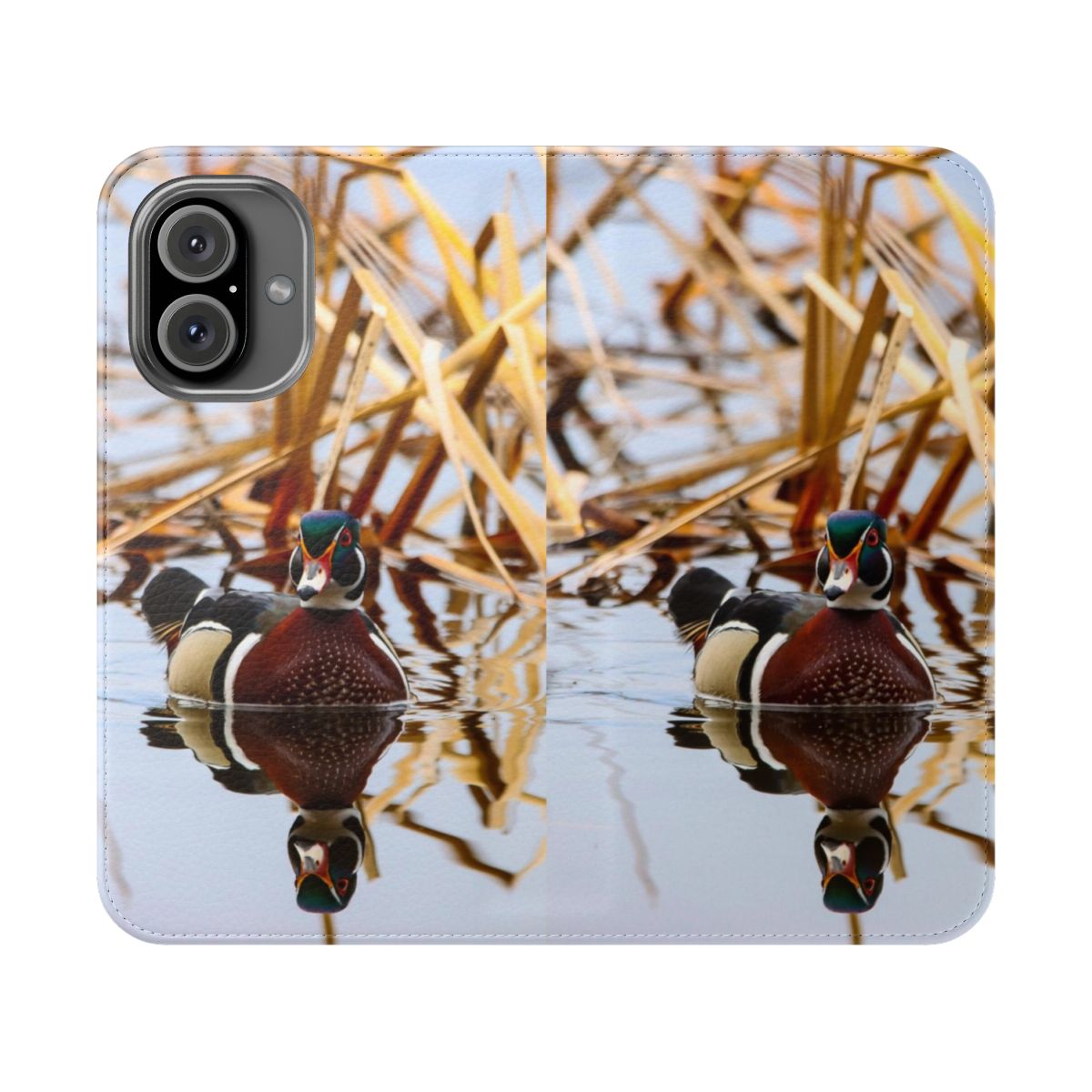 A close-up photograph of a beautiful wood duck swimming on a pond in the springtime.