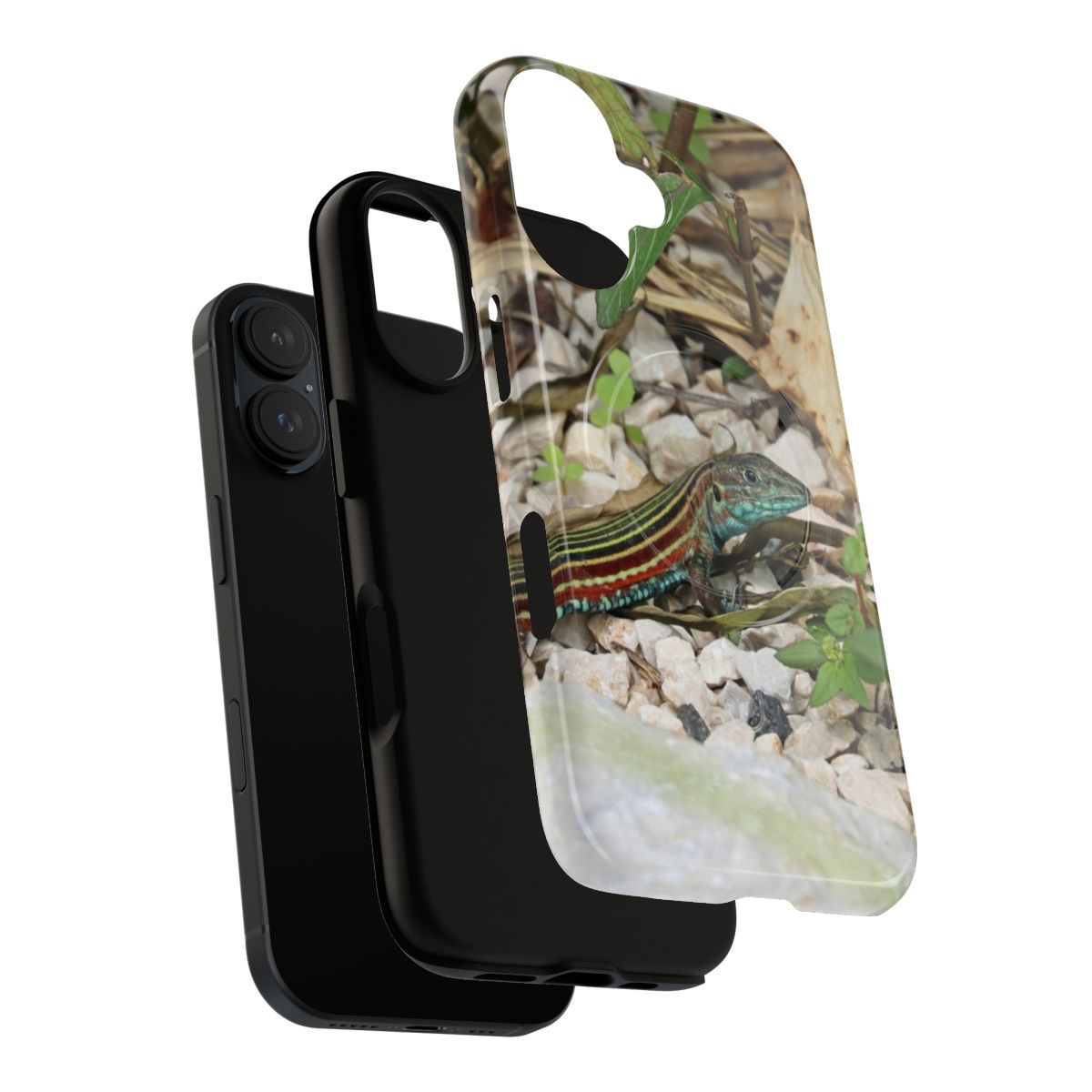 Colorful image of a rainbow racerunner lizard from Costa Rica, printed on a durable magnetic phone case. - Layers