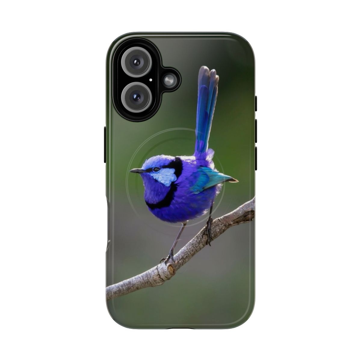 Afternoon light photo of a blue wren, or splendid fairywren, on a magnetic protective phone case