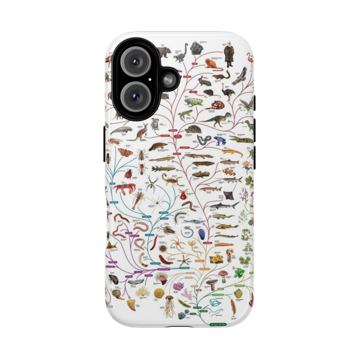 Magnetic, tough phone case featuring an illustration of Darwin's theory of evolution and the Tree of Life.