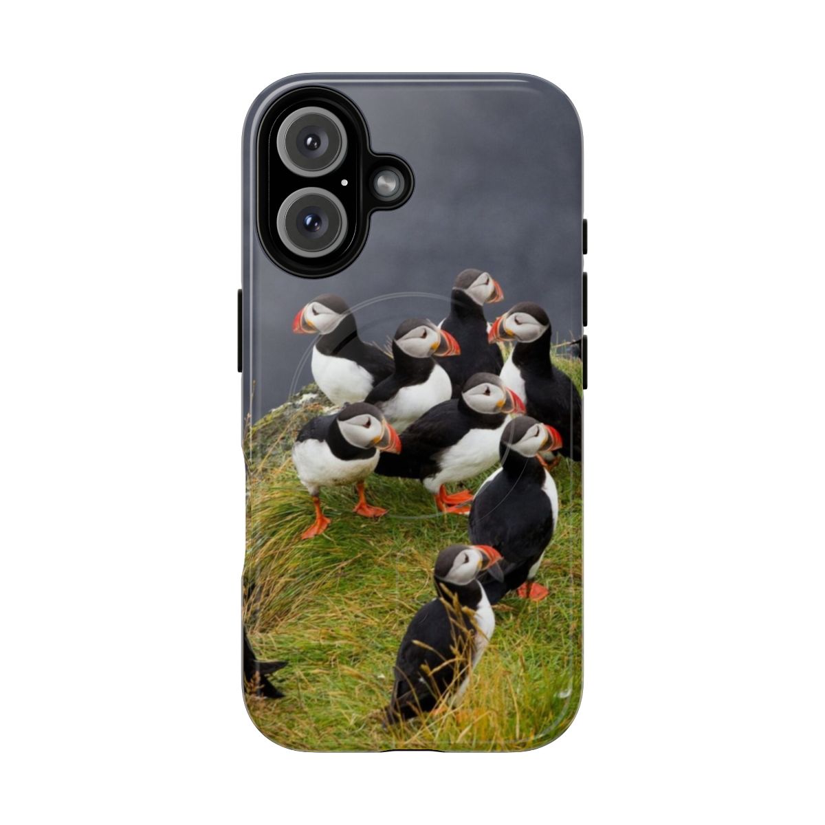 Puffins Magnetic Tough Phone Cases