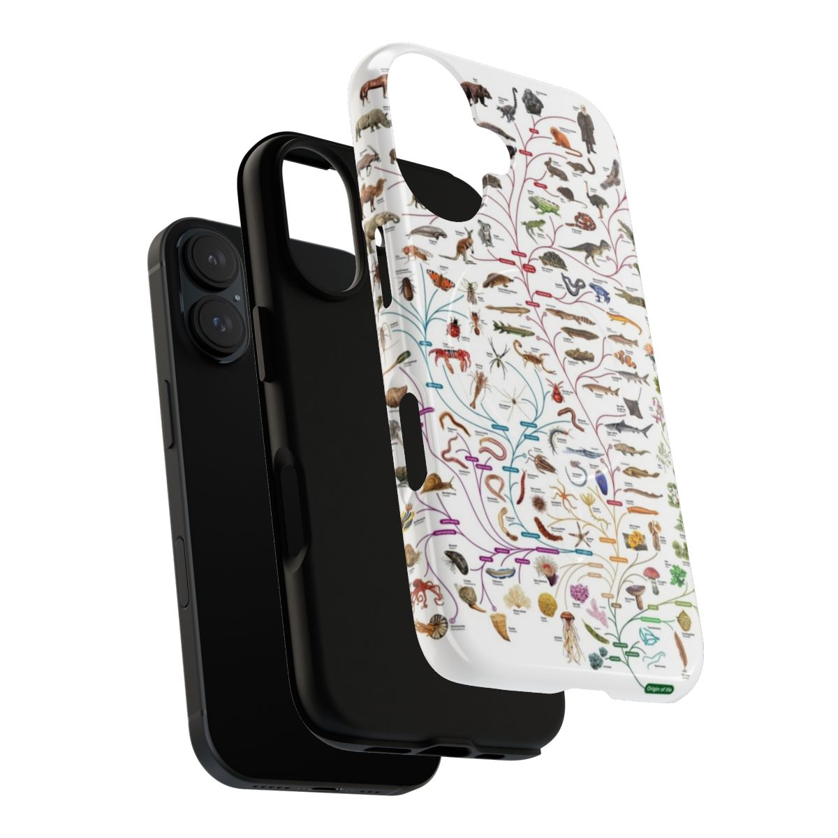 Magnetic, tough phone case featuring an illustration of Darwin's theory of evolution and the Tree of Life. - Layers