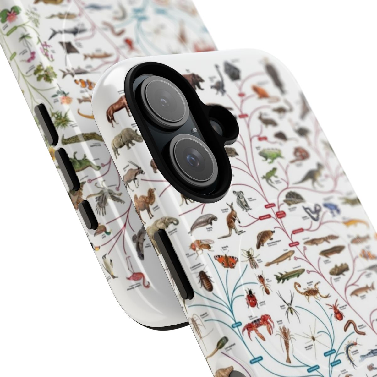 Magnetic, tough phone case featuring an illustration of Darwin's theory of evolution and the Tree of Life. - Detail